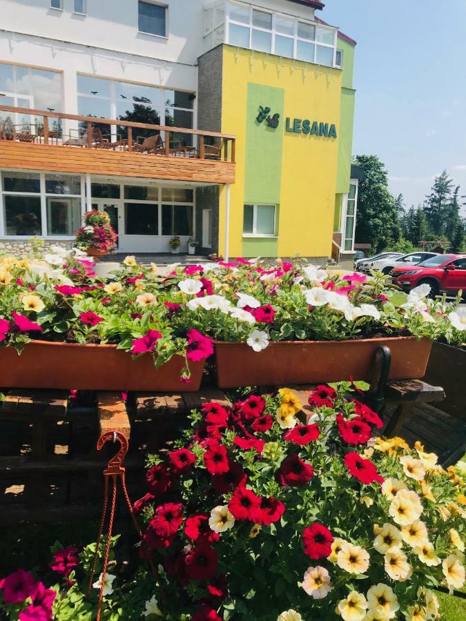 Hotel Lesana Stara Lesna Exterior photo